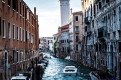 pexels-photo-433505 (1)