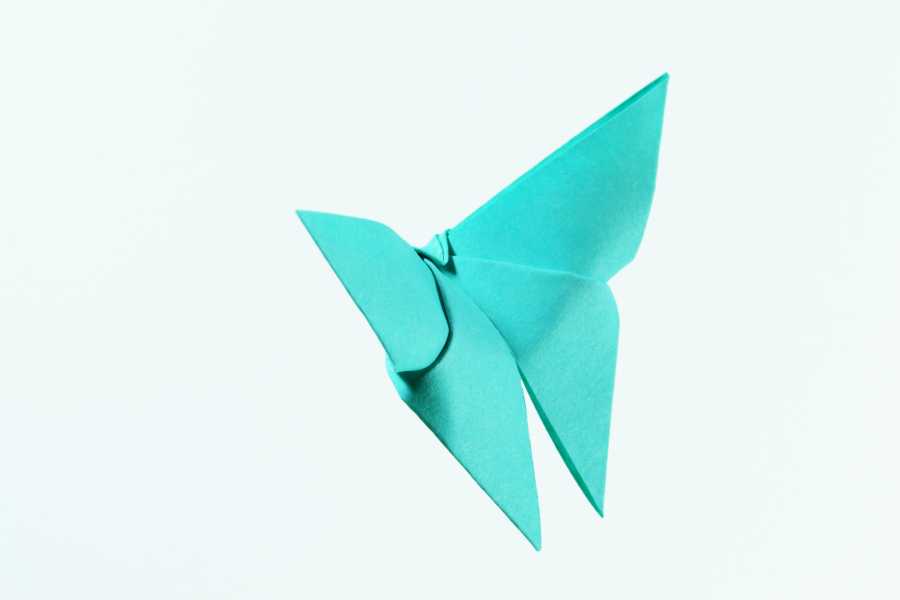 Origami Schmetterling